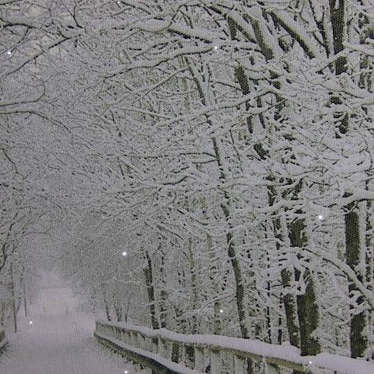 Winter Wooden Bridge Fiber Optic Lighted Canvas Wall Art